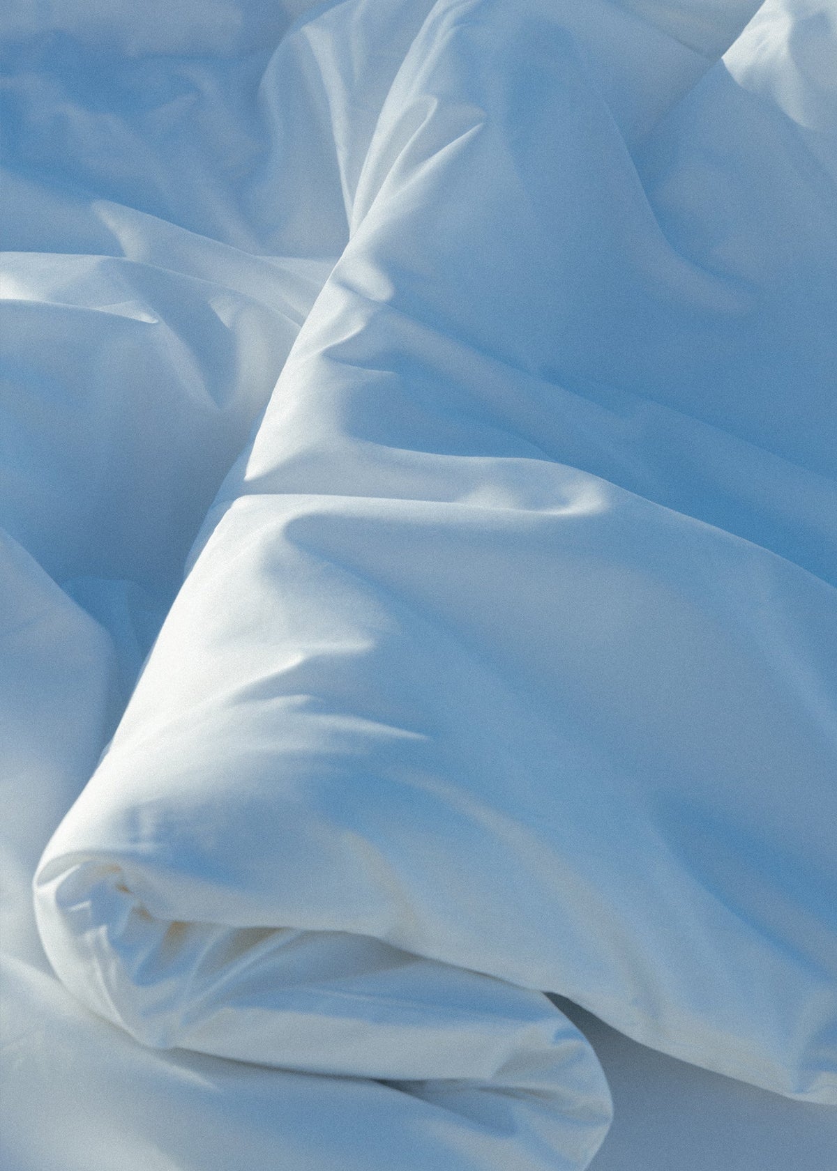 On Fiber & Rest: The Anatomy of Egyptian Cotton