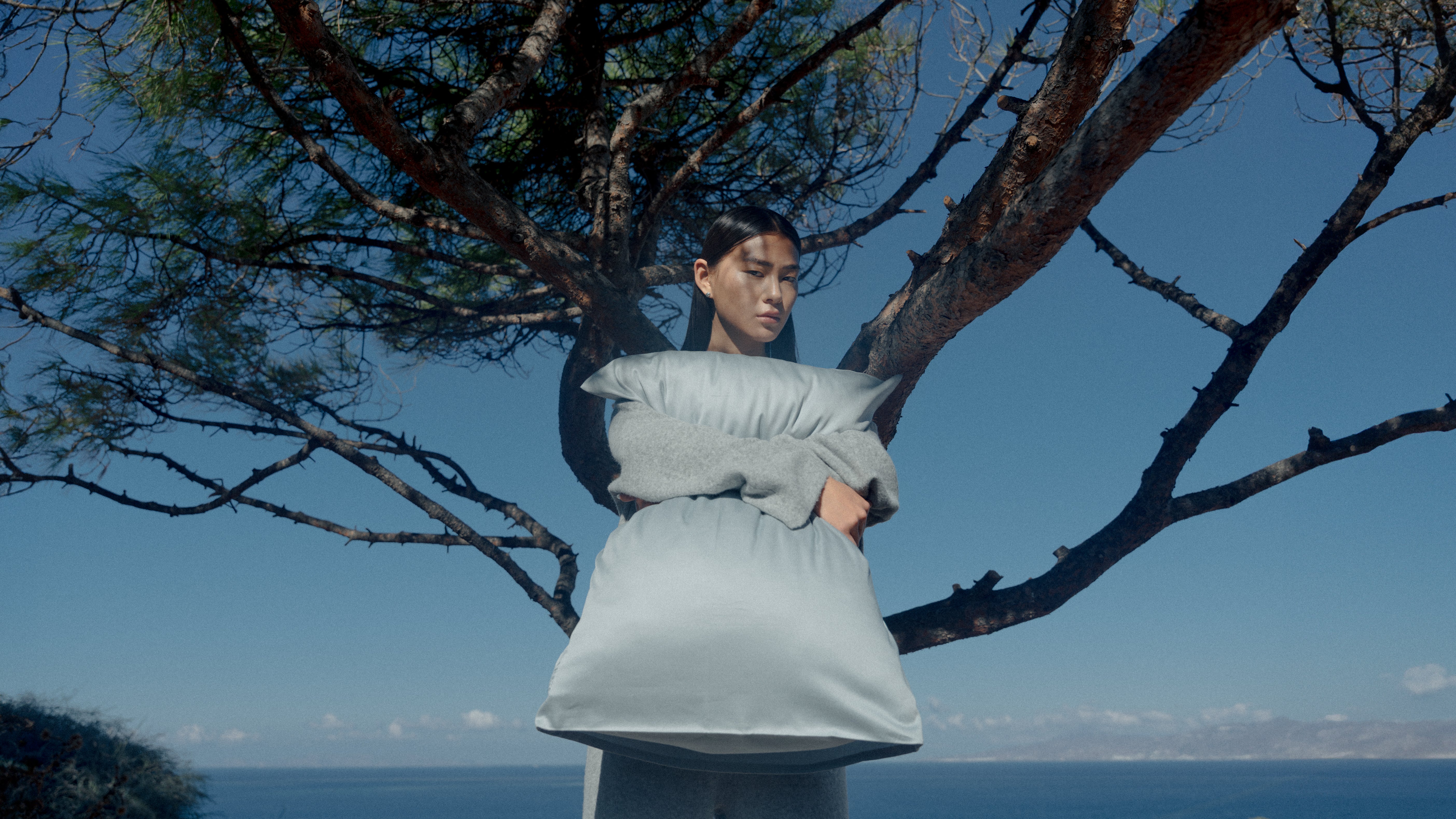 Person holding a pillow under a tree with a blue sky and ocean in the background